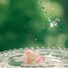 yahoo_sm