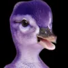 thepurpleduck4