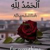 mohammedsuleimany84