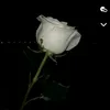 itsmehadis1233