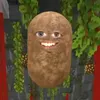 comedy_cactus3