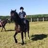horserider096