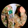 naseebali529