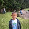 alvin.alzb2