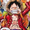 strawhat1676