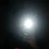 cubii_77