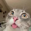 wee.w3nn