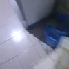 axcel5528