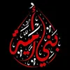 ٱلْبَارقَةُ عَلَى ٱلْخَوَارجِ