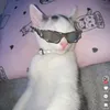 davi.almeida528