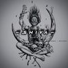shiva_quotes