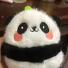 camupdzs1tg
