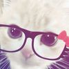 ashygull.ahmed
