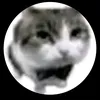 pavlicekkkk2