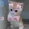 myloverstar4