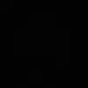 sienna_snch