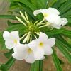 s.m.mosharof6