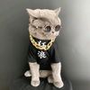 funnypetsofficial10