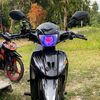 .bosmuda36