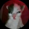 momazos_bachira_q