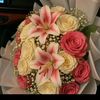 shahd.mosad429