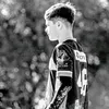 o_ribeiro05