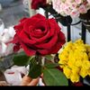 user66846812447230