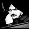ansari.2693