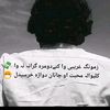 u__f__gulli
