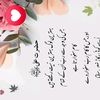 aligm364