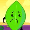 leafsterz2763