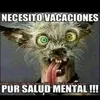 juan.parrilla.can