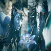 ₩foresr Neytiri₩