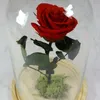 tina664649