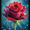 user7718615107708