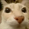 UrielGamerxd1