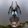 fieldrist