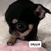 j4f_seyyaaww
