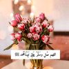user94103876710140
