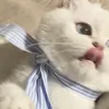 cute_veralette