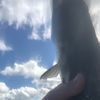 keaterbeater5