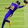 vikings.fan.84.18