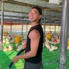 Chú Đi Vịt