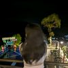 sweetchocopiews_