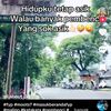 sudirman.adi7
