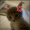 sophia_5767
