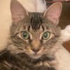 marypawpins3