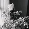 nur.kamala.2106