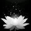 lm.minh057
