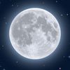 moonlight15898